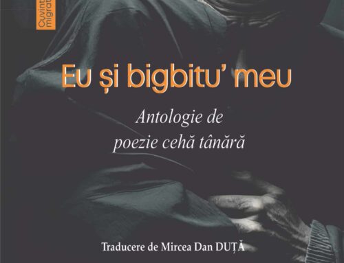 Eu și bigbitu’ meu