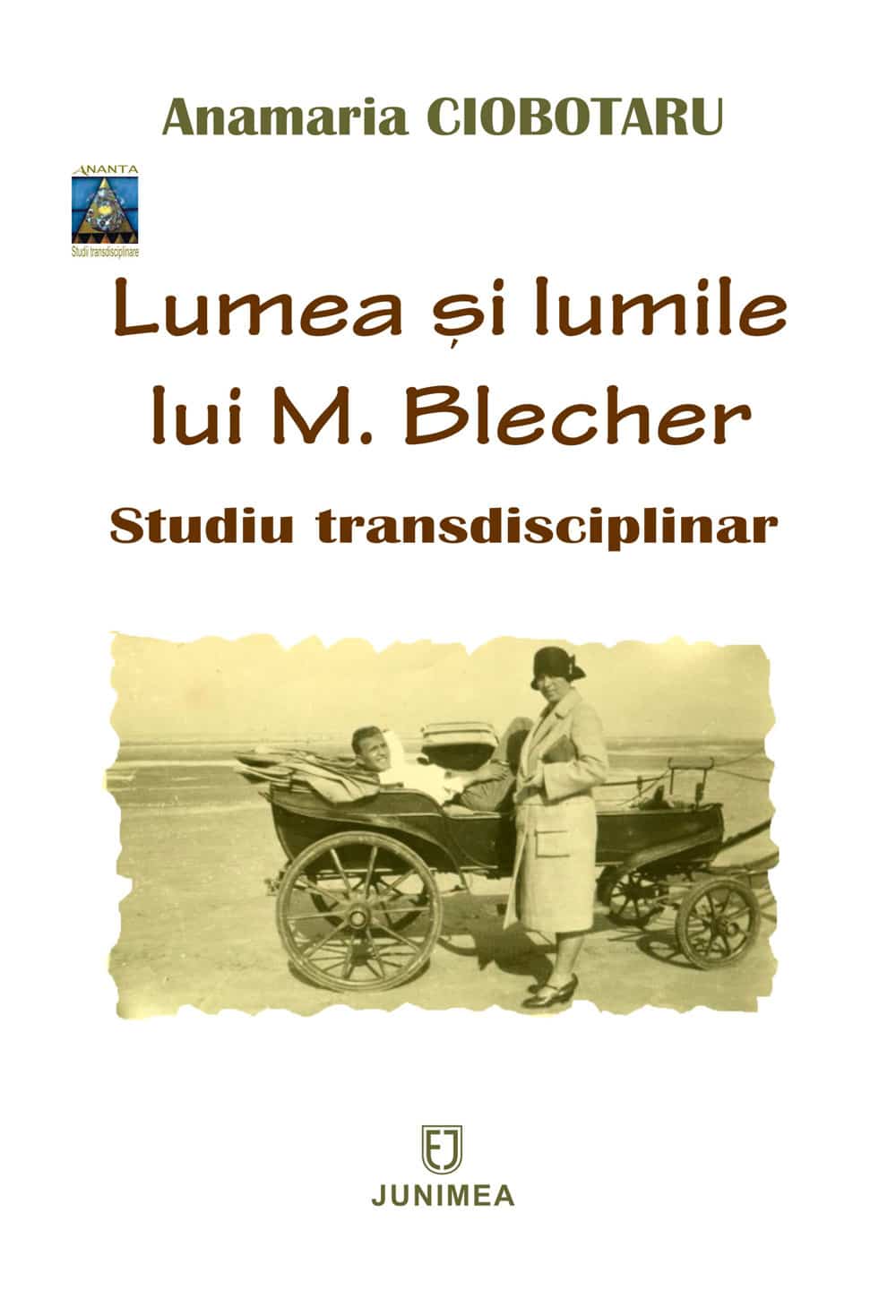 Lumea şi lumile lui M. Blecher: studiu transdisciplinar