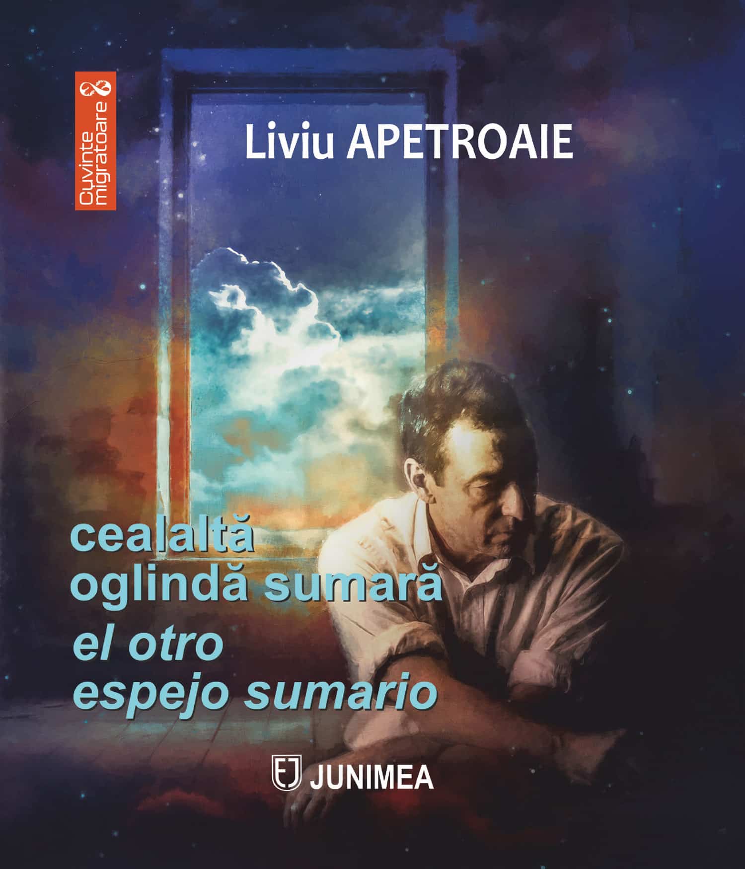 cealaltă oglindă sumară / el otro espejo sumario