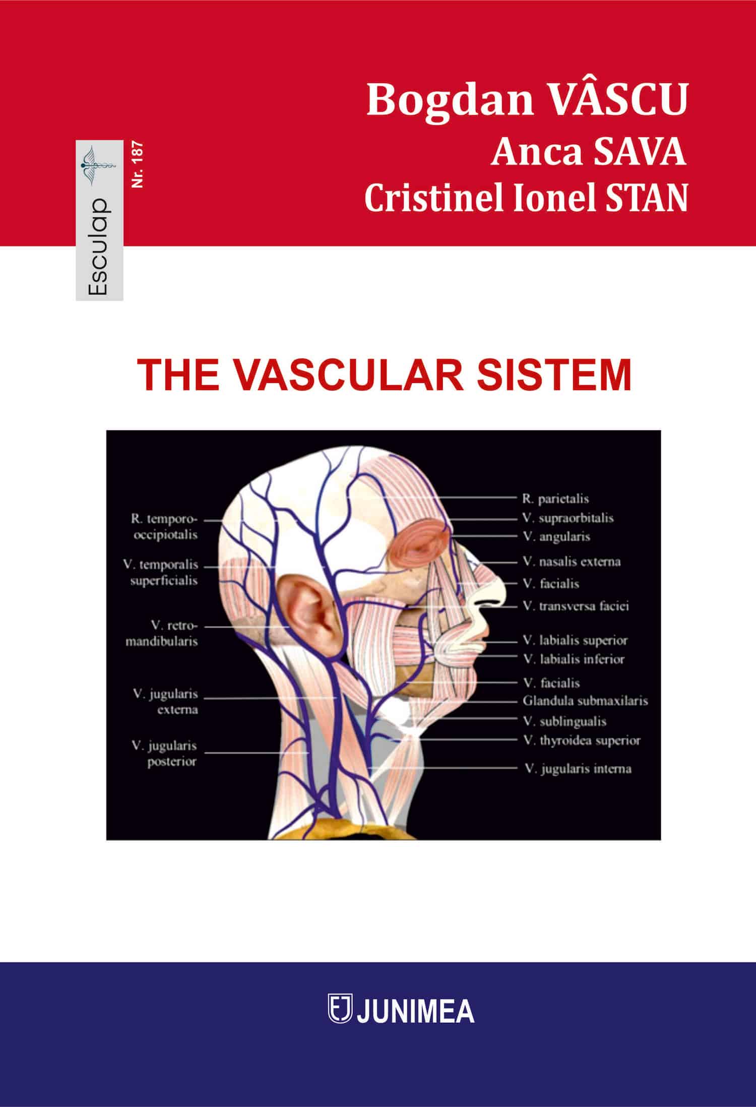 The circulatory sistem