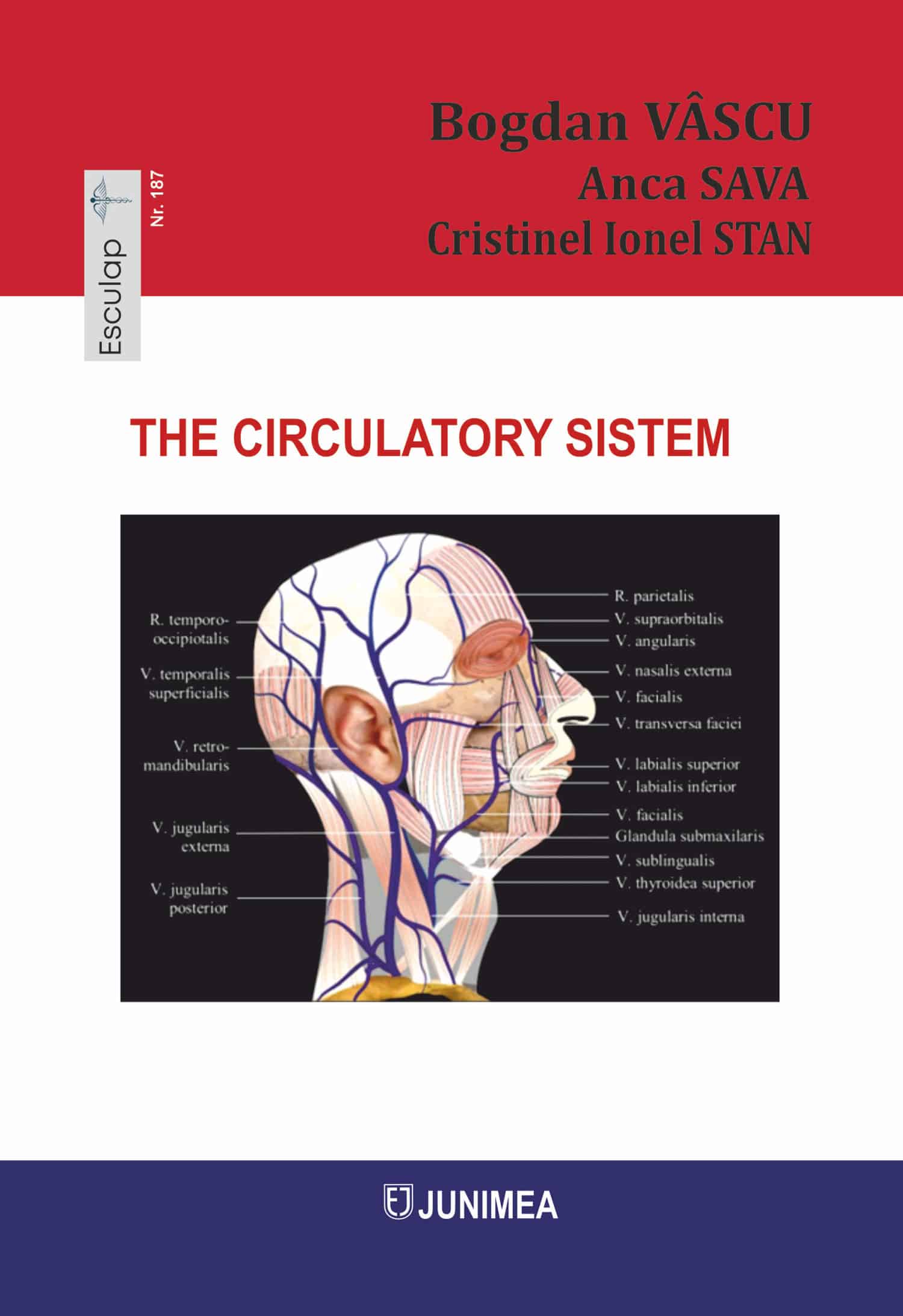 The circulatory sistem