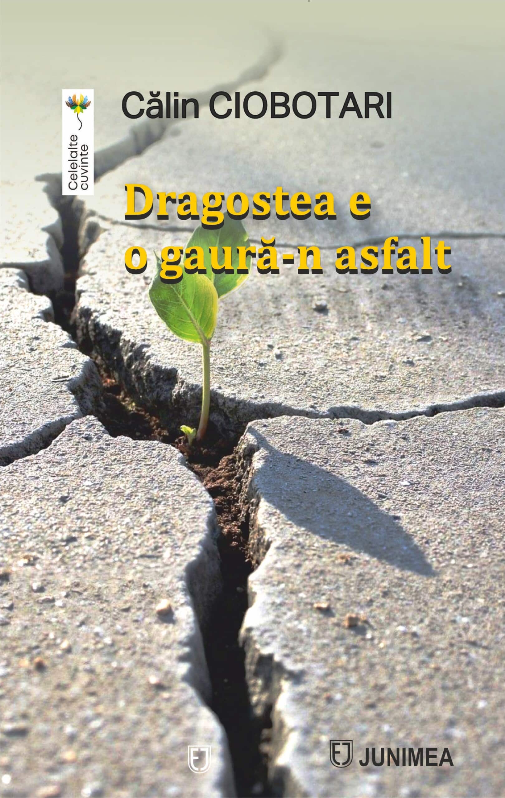 Dragostea e o gaură-n asfalt